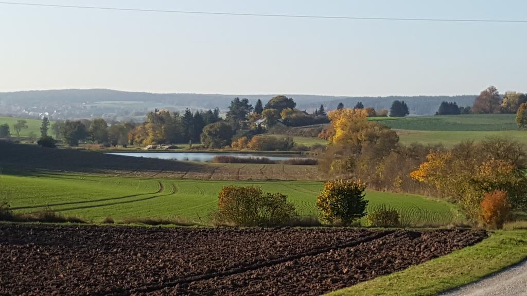 Gemuetliches Ferienhaus Mit Grossem Garten, Ideal Fuer Naturliebhaber Gerhardshofen Esterno foto